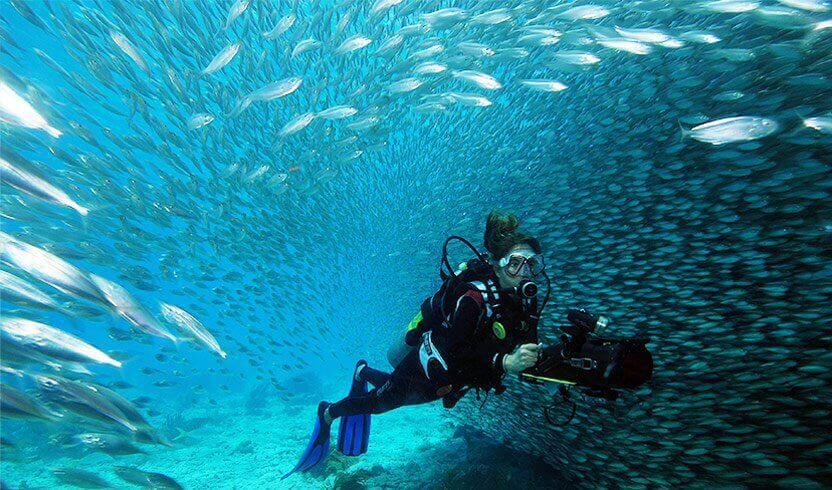 2. Harbour Village, Bonaire
